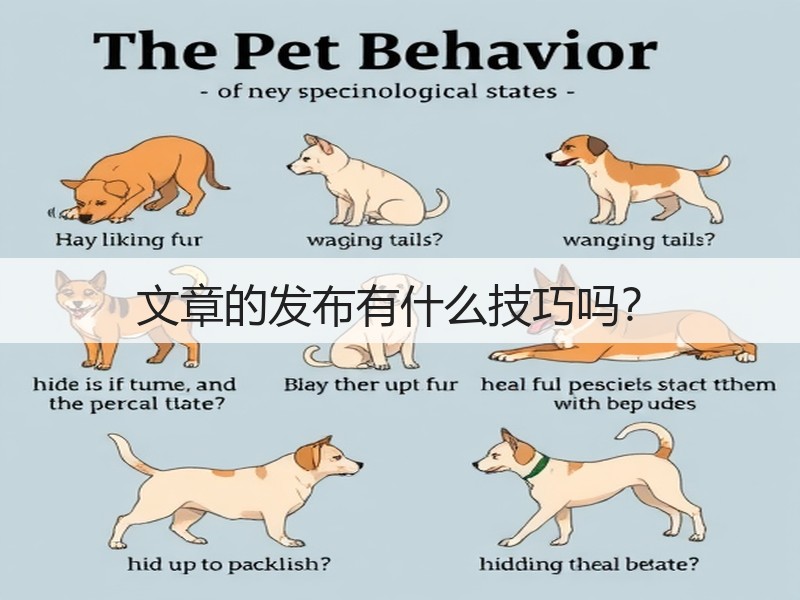 文章的发布有什么技巧吗？(图3)