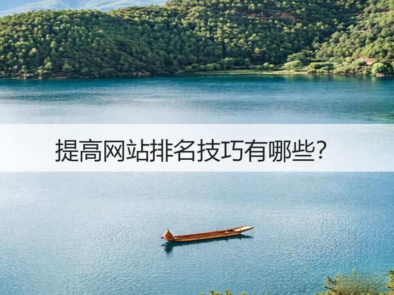 提高网站排名技巧有哪些？