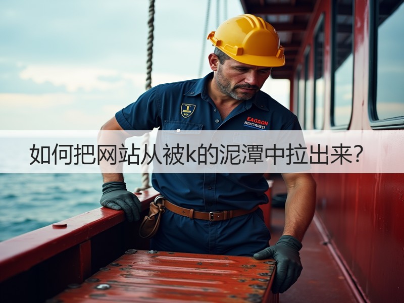 如何把网站从被k的泥潭中拉出来?(图2) 如何把网站从被k的泥潭中拉出来?(图2)