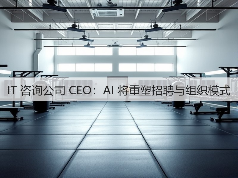 IT 咨询公司 CEO：AI 将重塑招聘与组织模式(图1)