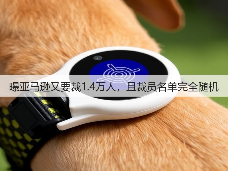 曝亚马逊又要裁1.4万人，且裁员名单完全随机(图2)