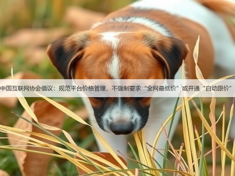 中国互联网协会倡议：规范平台价格管理，不强制要求“全网最低价”或开通“自动跟价”(图3)