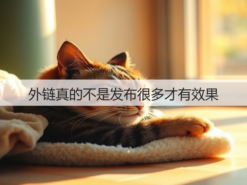 外链真的不是发布很多才有效果(图2)