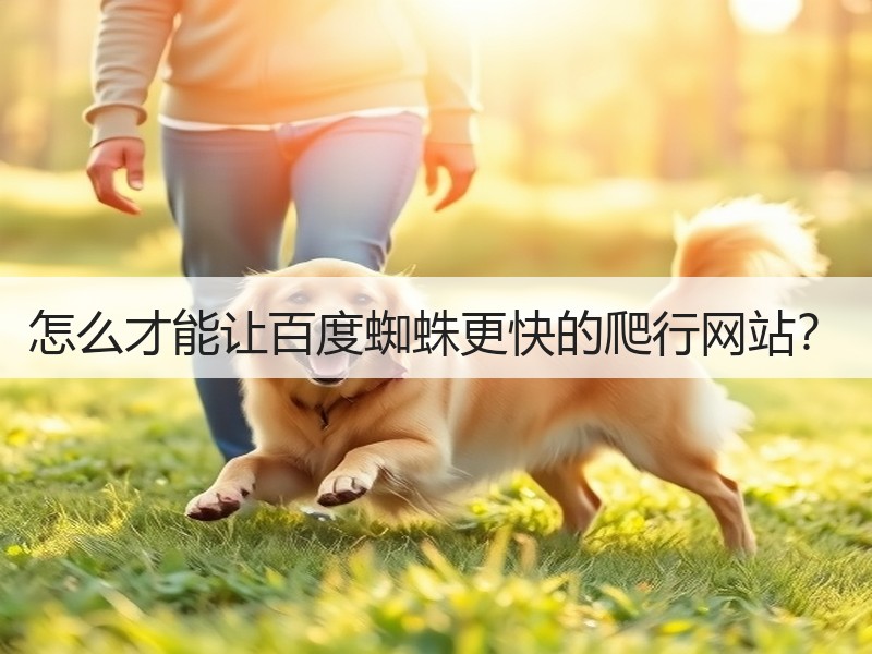 怎么才能让百度蜘蛛更快的爬行网站？
