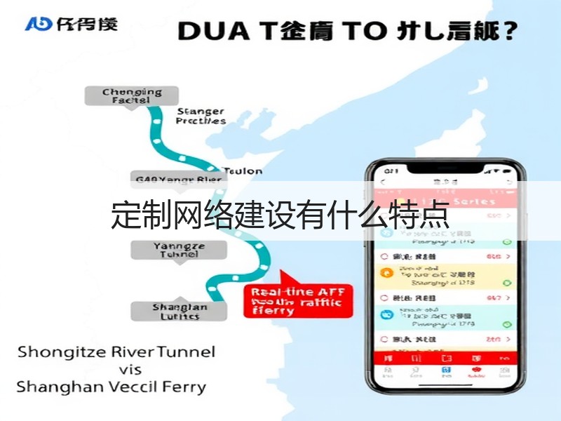 定制网络建设有什么特点(图1)