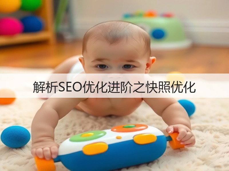 解析SEO优化进阶之快照优化(图2)