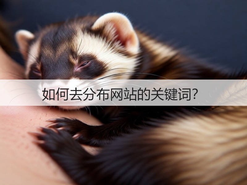 如何去分布网站的关键词？(图1)