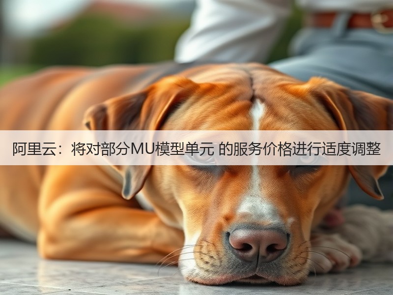 阿里云：将对部分MU模型单元 的服务价格进行适度调整(图3)