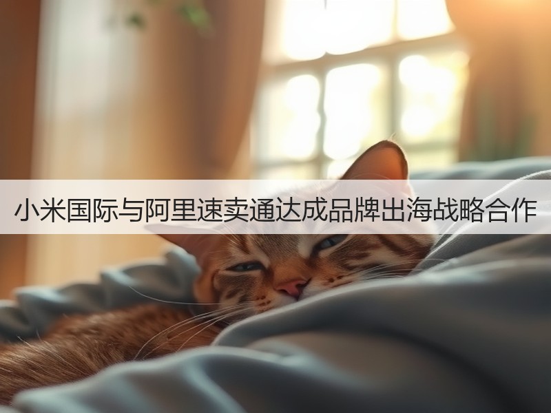 小米国际与阿里速卖通达成品牌出海战略合作(图3)