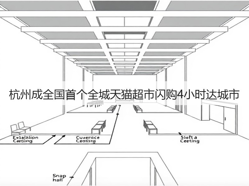 杭州成全国首个全城天猫超市闪购4小时达城市(图3)