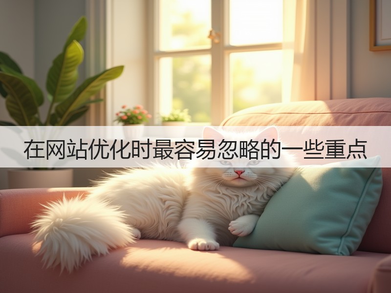 在网站优化时最容易忽略的一些重点(图3)
