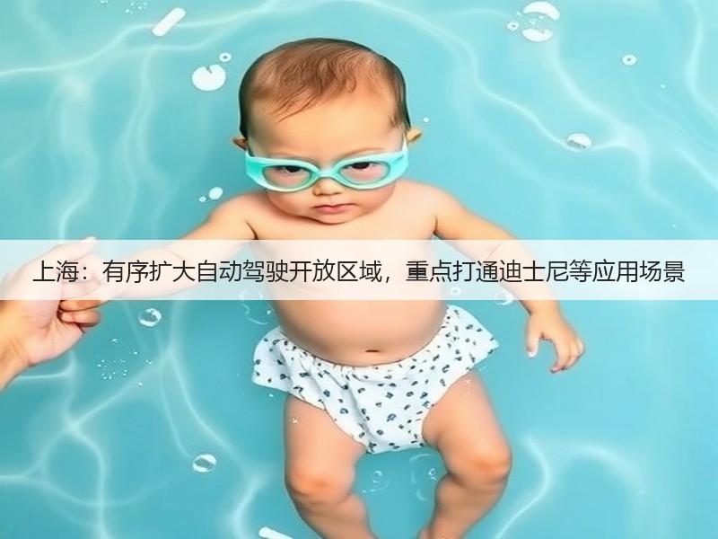 上海:有序扩大自动驾驶开放区域,重点打通迪士尼等应用场景(图3) 上海:有序扩大自动驾驶开放区域,重点打通迪士尼等应用场景(图3)