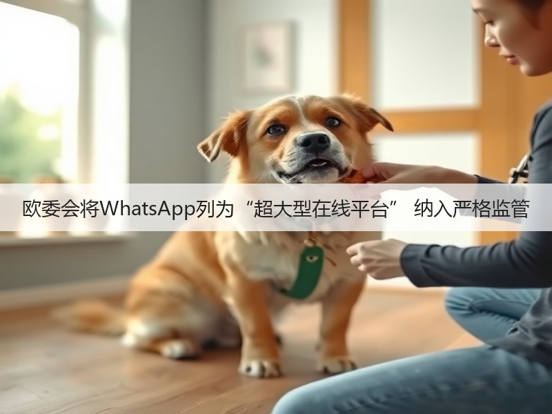 欧委会将WhatsApp列为“超大型在线平台” 纳入严格监管(图2)