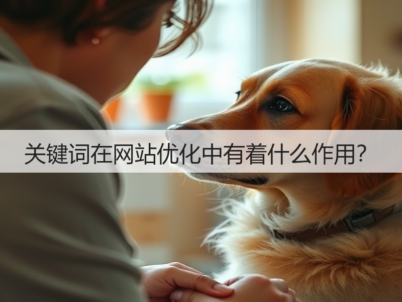 关键词在网站优化中有着什么作用？(图2)