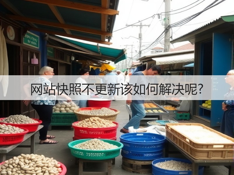 网站快照不更新该如何解决呢?(图2)