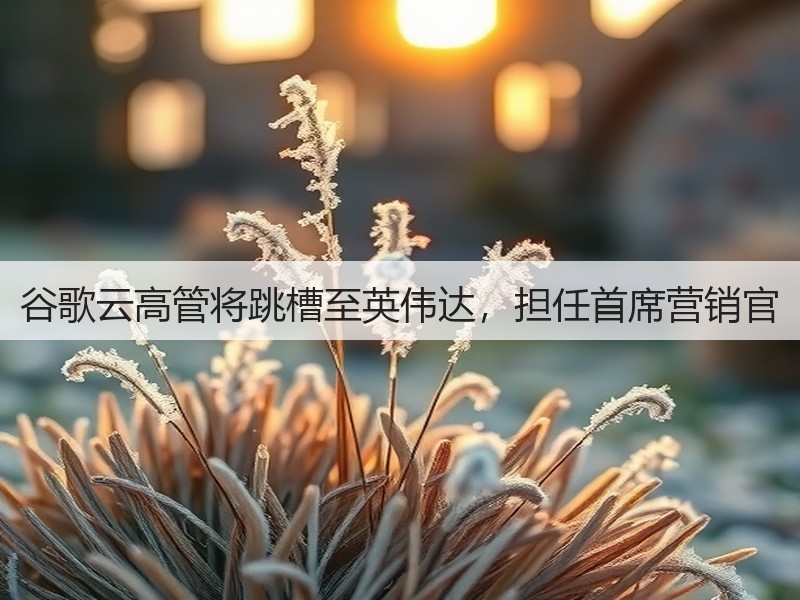 谷歌云高管将跳槽至英伟达，担任首席营销官(图2)
