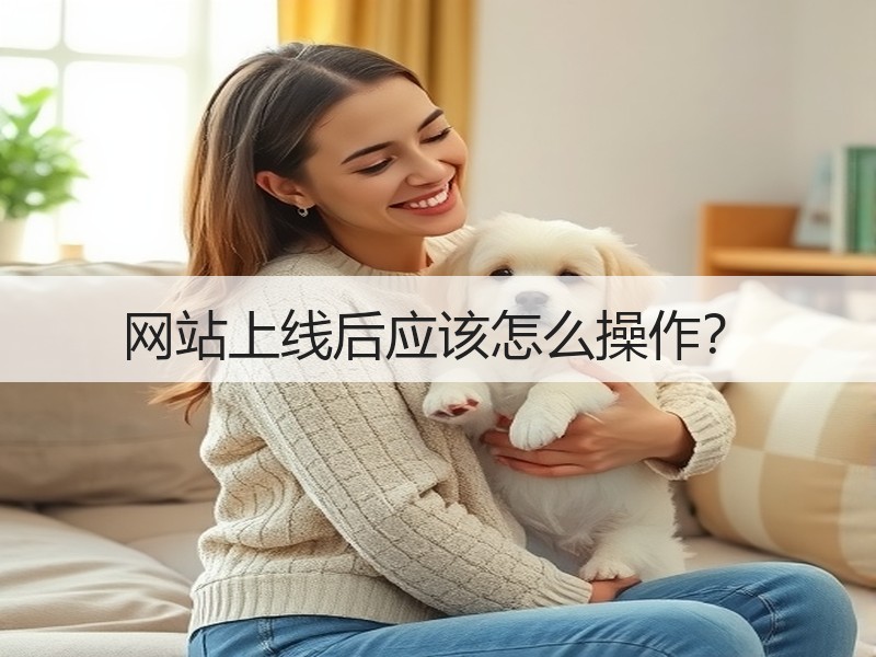 网站上线后应该怎么操作？