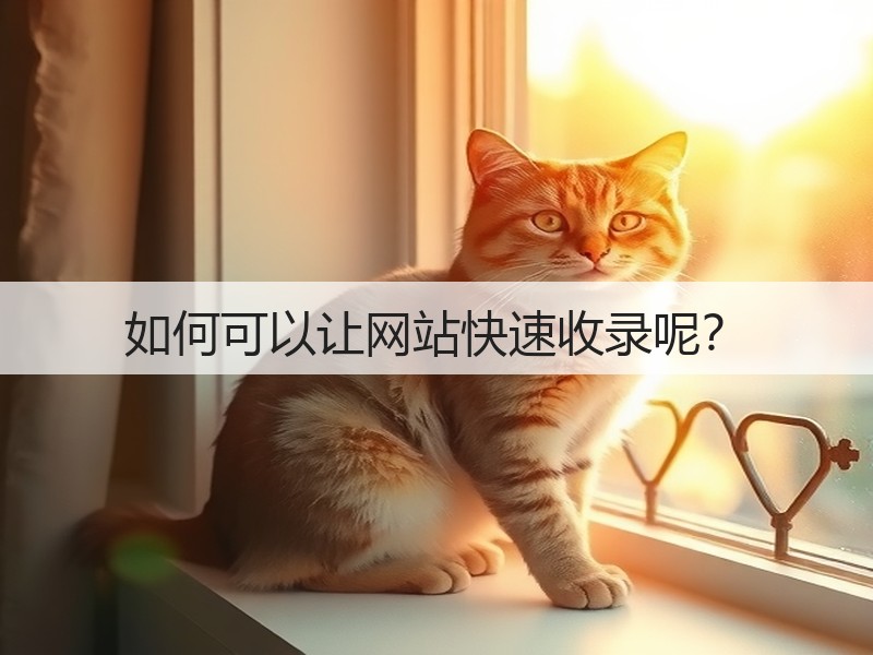 如何可以让网站快速收录呢？(图2)