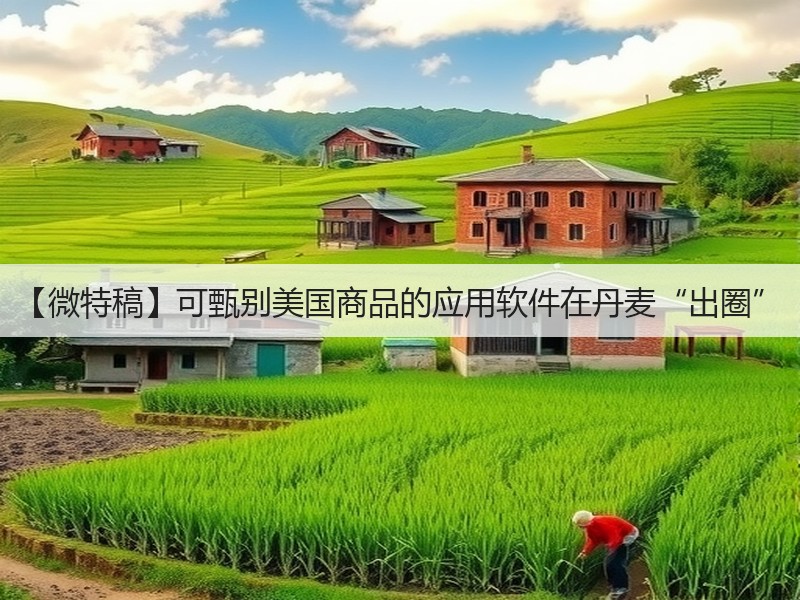 【微特稿】可甄别美国商品的应用软件在丹麦“出圈”(图3) 【微特稿】可甄别美国商品的应用软件在丹麦“出圈”(图3)