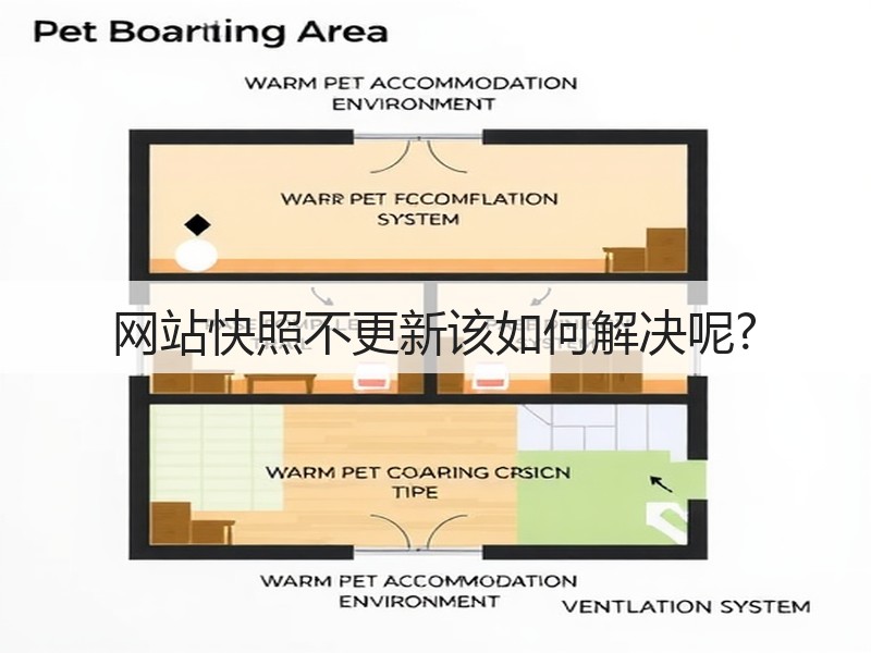 网站快照不更新该如何解决呢?(图2)