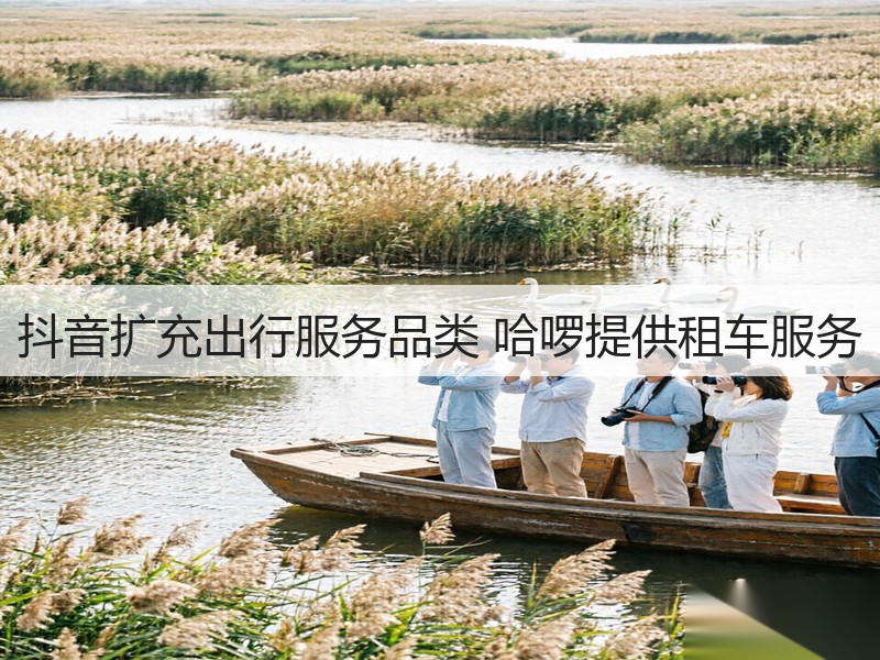抖音扩充出行服务品类 哈啰提供租车服务(图2)