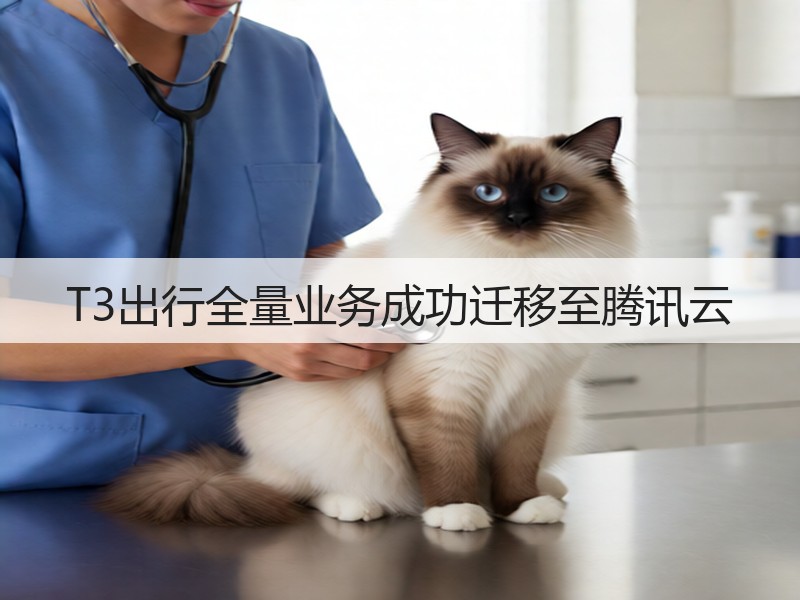 T3出行全量业务成功迁移至腾讯云(图3) T3出行全量业务成功迁移至腾讯云(图3)