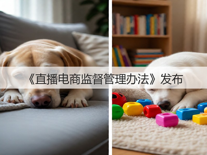 《直播电商监督管理办法》发布(图2)