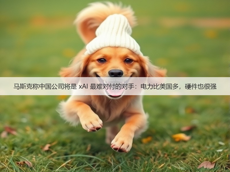 马斯克称中国公司将是 xAI 最难对付的对手：电力比美国多，硬件也很强(图3)