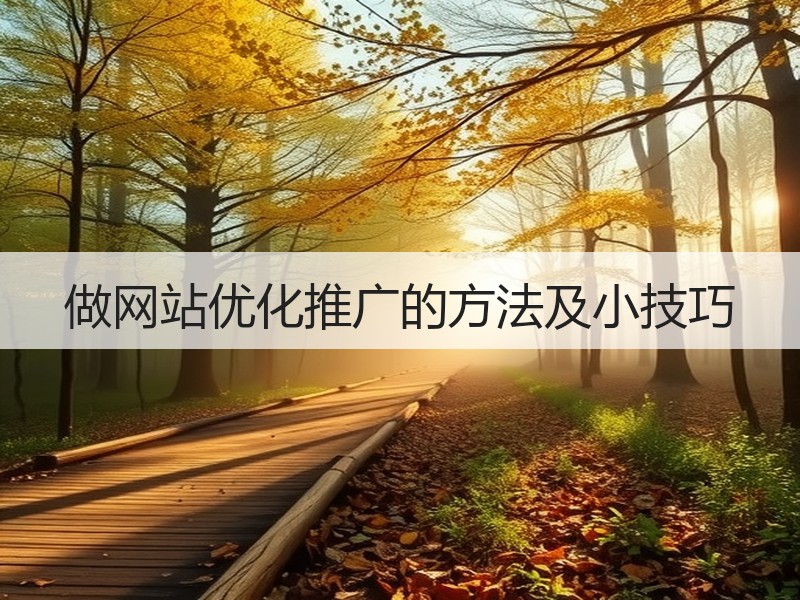 做网站优化推广的方法及小技巧