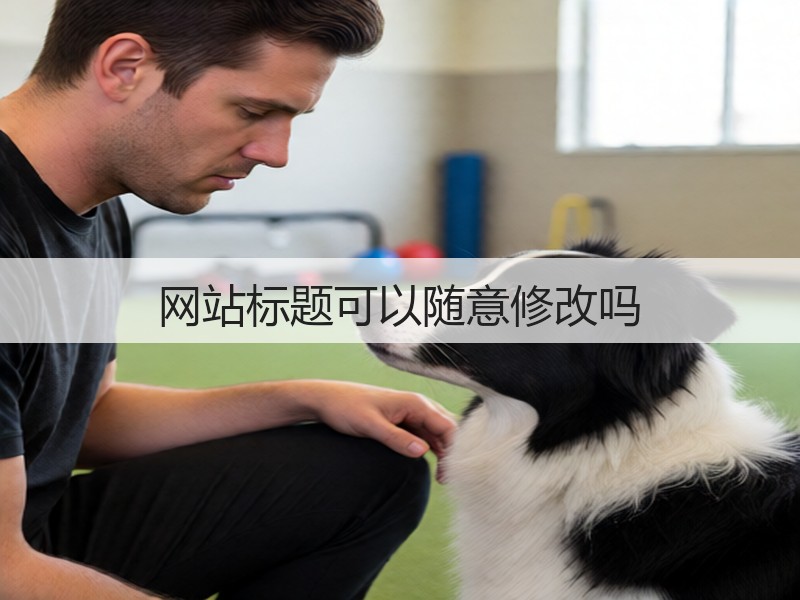网站标题可以随意修改吗(图1) 网站标题可以随意修改吗(图1)