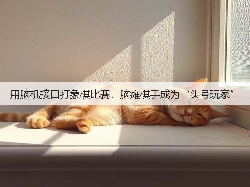 用脑机接口打象棋比赛,脑瘫棋手成为“头号玩家”(图2) 用脑机接口打象棋比赛,脑瘫棋手成为“头号玩家”(图2)