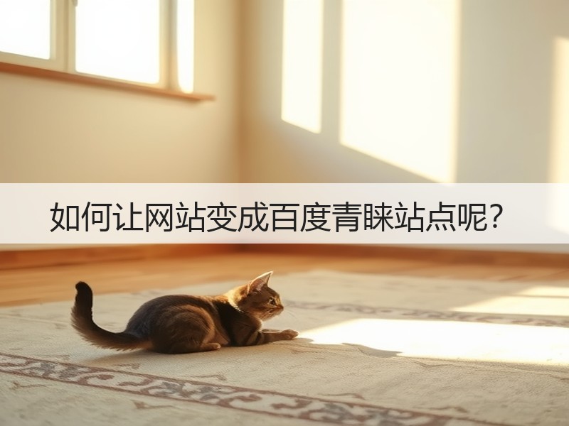 如何让网站变成百度青睐站点呢？(图3)