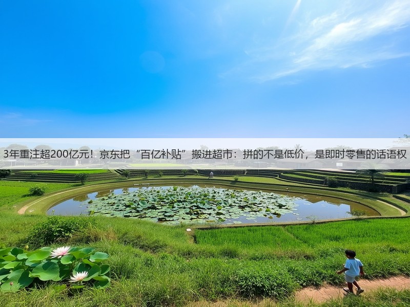 3年重注超200亿元！京东把“百亿补贴”搬进超市：拼的不是低价，是即时零售的话语权(图2)