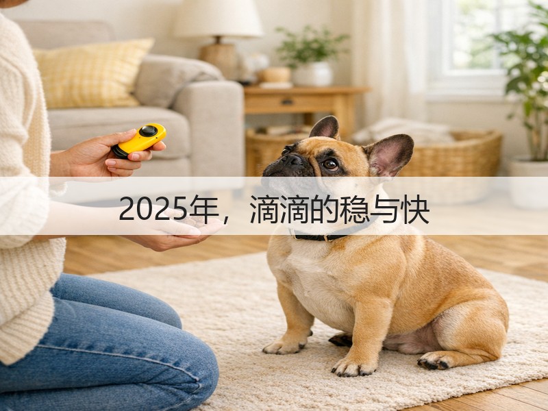 2025年,滴滴的稳与快(图3) 2025年,滴滴的稳与快(图3)