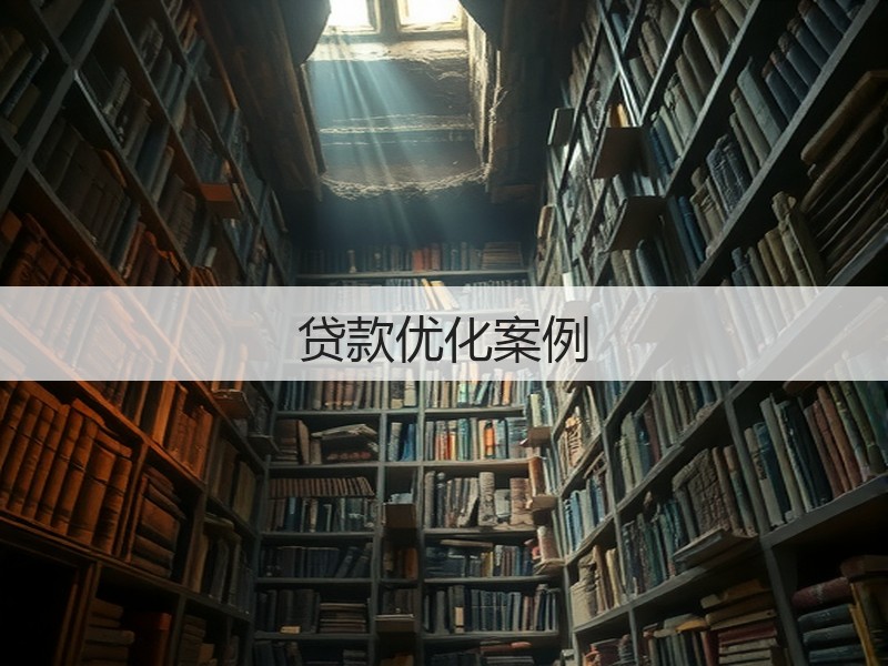 贷款优化案例(图2)