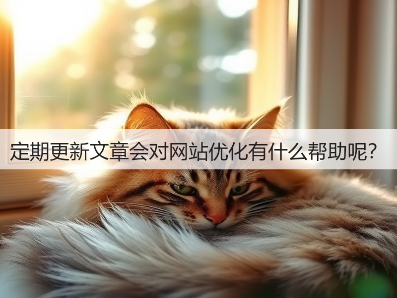 定期更新文章会对网站优化有什么帮助呢?(图3) 定期更新文章会对网站优化有什么帮助呢?(图3)