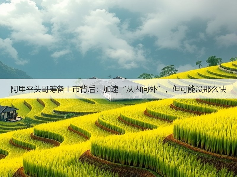 阿里平头哥筹备上市背后:加速“从内向外”,但可能没那么快(图2) 阿里平头哥筹备上市背后:加速“从内向外”,但可能没那么快(图2)