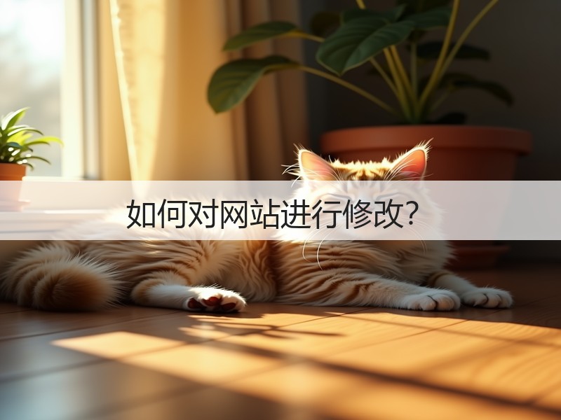 如何对网站进行修改？(图3)