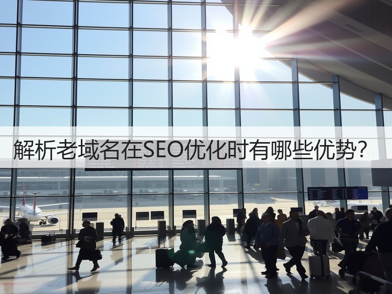 解析老域名在SEO优化时有哪些优势？(图3)