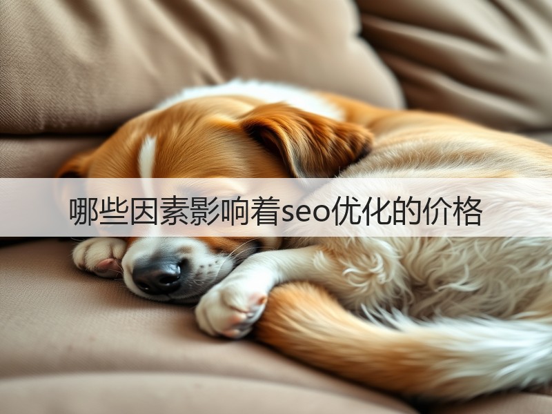 哪些因素影响着seo优化的价格(图2)