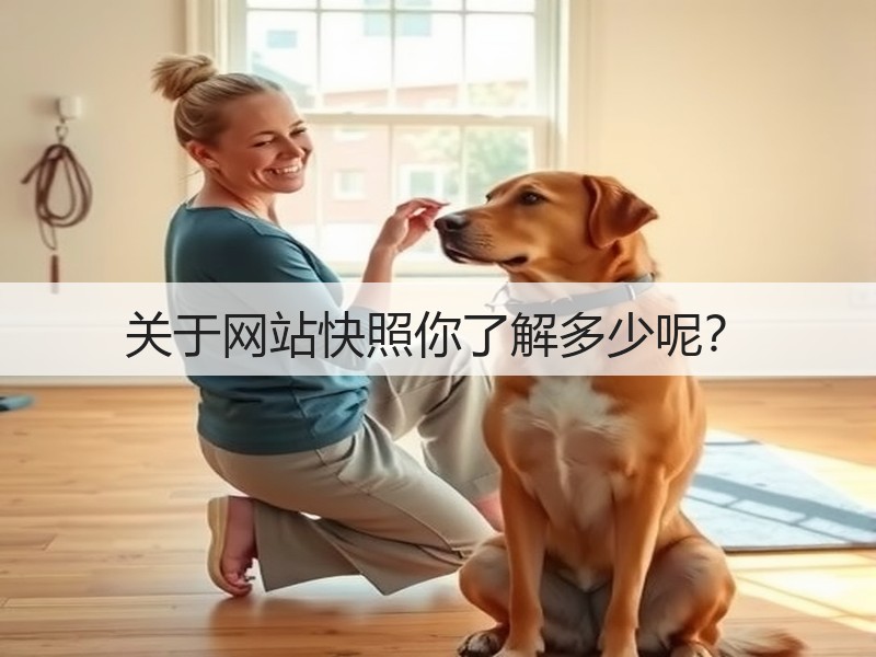 关于网站快照你了解多少呢？(图1)