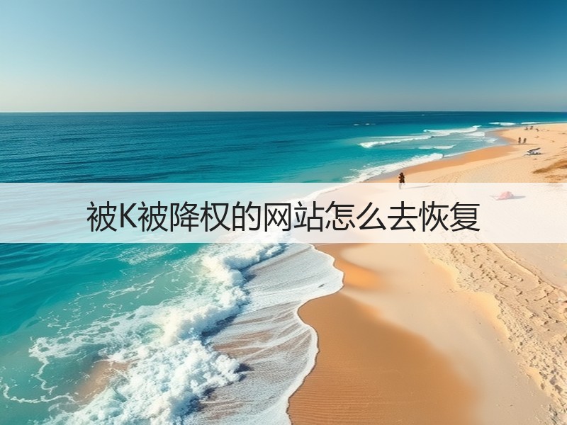 被K被降权的网站怎么去恢复(图1) 被K被降权的网站怎么去恢复(图1)