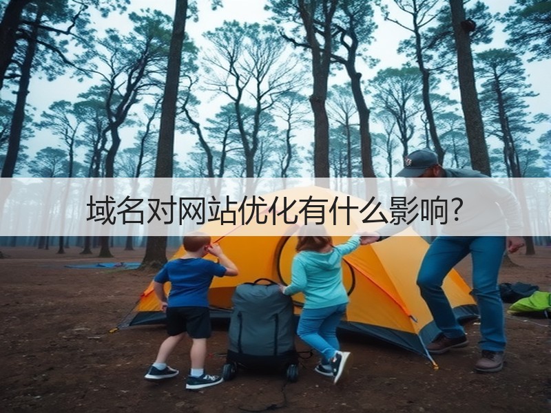 域名对网站优化有什么影响?(图2)