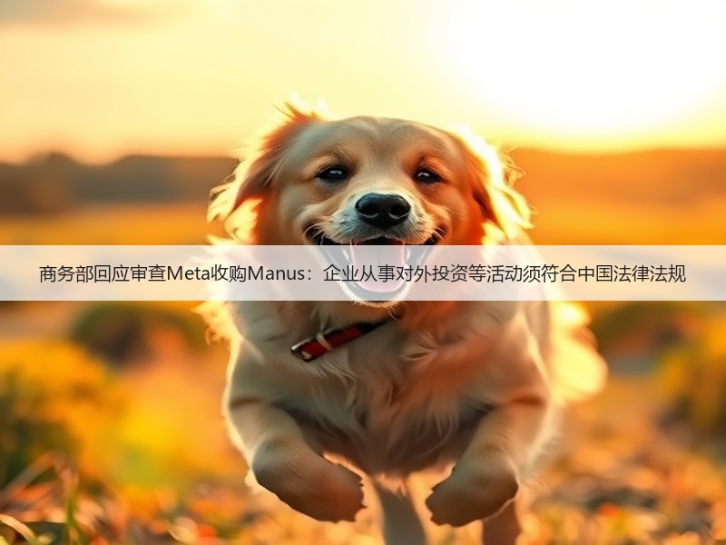 商务部回应审查Meta收购Manus：企业从事对外投资等活动须符合中国法律法规(图2)