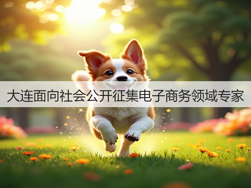 大连面向社会公开征集电子商务领域专家(图3) 大连面向社会公开征集电子商务领域专家(图3)