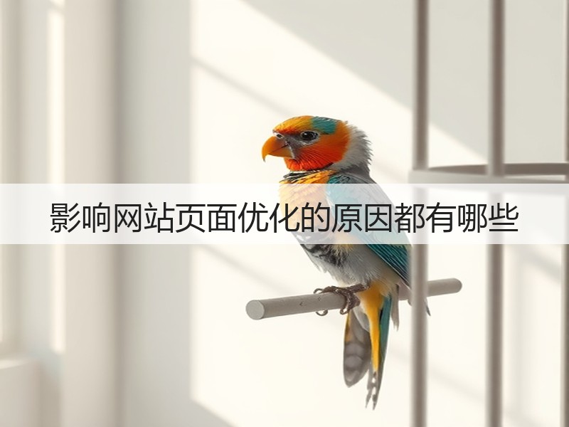 影响网站页面优化的原因都有哪些(图3) 影响网站页面优化的原因都有哪些(图3)