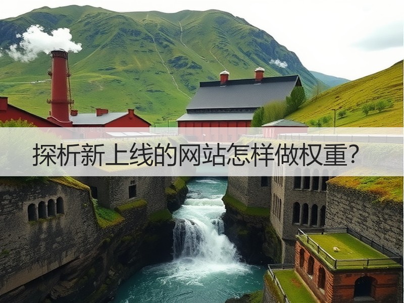 探析新上线的网站怎样做权重？