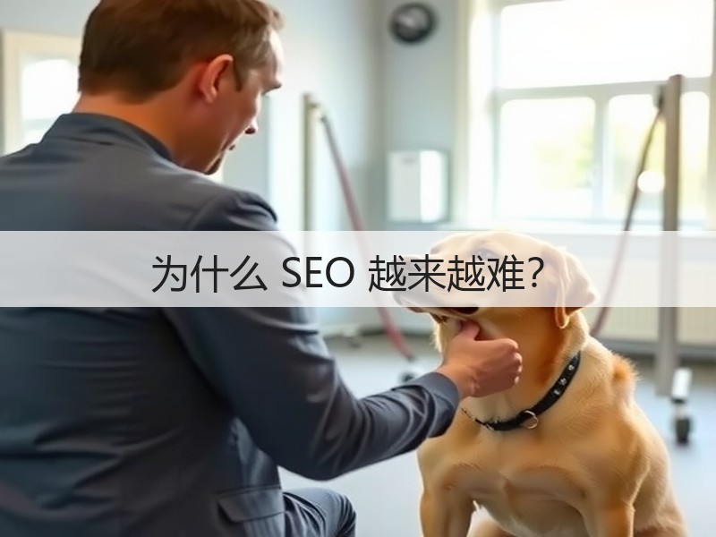 为什么 SEO 越来越难？(图2)