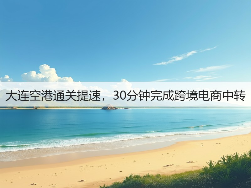 大连空港通关提速,30分钟完成跨境电商中转(图2) 大连空港通关提速,30分钟完成跨境电商中转(图2)