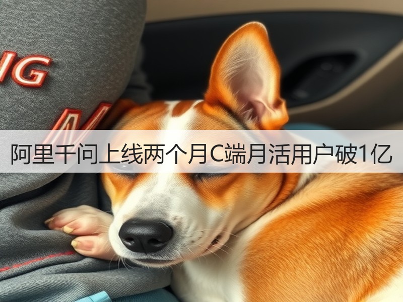 阿里千问上线两个月C端月活用户破1亿(图3)